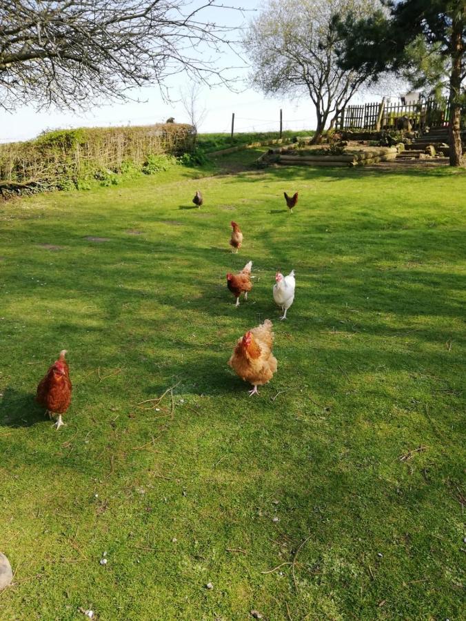 Cosy Dog Friendly Lodge With An Outdoor Bath On The Isle Of Wight Whitwell  Buitenkant foto