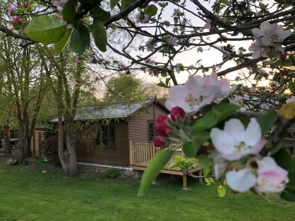 Cosy Dog Friendly Lodge With An Outdoor Bath On The Isle Of Wight Whitwell  Buitenkant foto